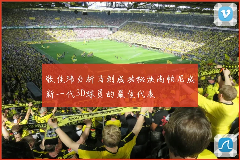 张佳玮分析马刺成功秘诀尚帕尼成新一代3D球员的最佳代表