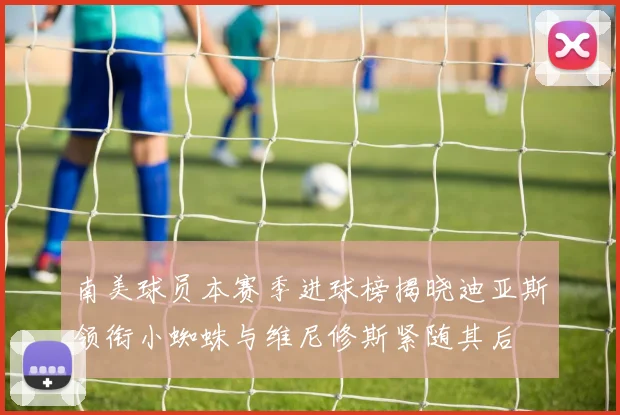南美球员本赛季进球榜揭晓迪亚斯领衔小蜘蛛与维尼修斯紧随其后